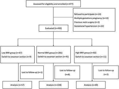 The effect of first trimester body mass index on the changes in the upper lip bite test classification before and after delivery: A prospective observational study